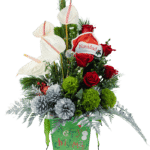 Encanto Navideño