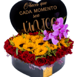 Corazón Encantado