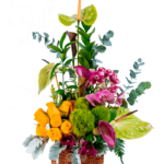 Esencia de Orquídeas