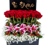 El Lenguaje del Amor