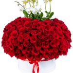 Belleza Real