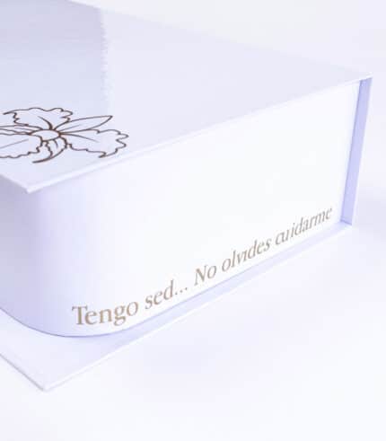 I Love You Deluxe Box - Image 7