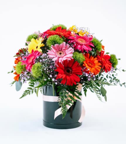 Estallido de Gerberas - Image 3