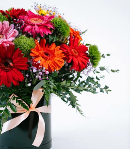 Estallido de Gerberas - Image 4